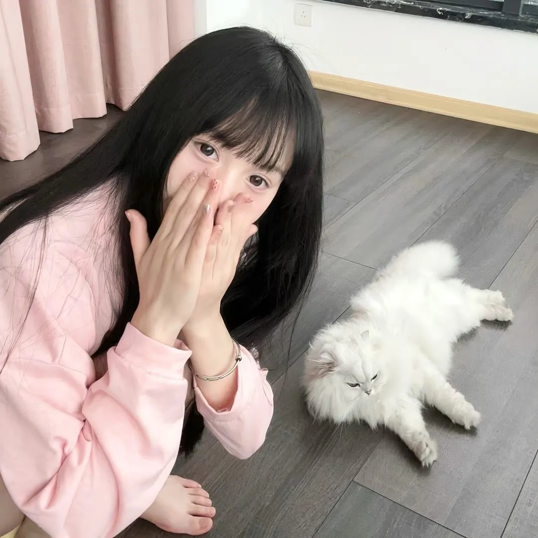 军犬麦克斯2:白宫英雄